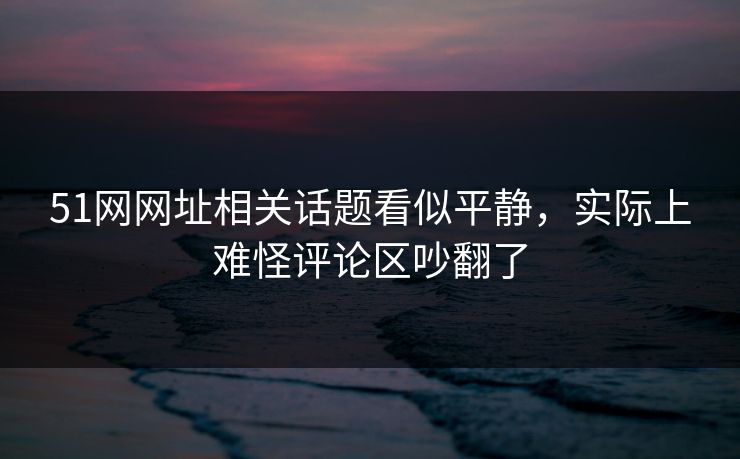 51网网址相关话题看似平静，实际上难怪评论区吵翻了